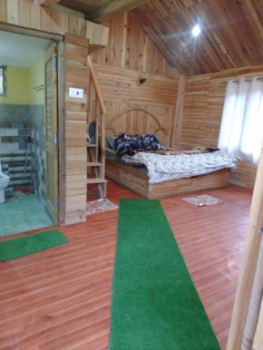 Pg Dream Cabin Jibhi